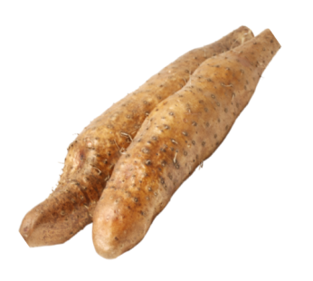 Succulent & Delicious Tubers of Yam